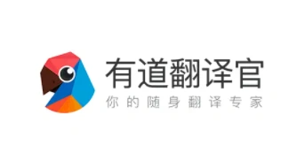 有道翻译支持哪些文件格式?